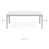 N MESA NET TABLE 100