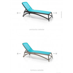 copy of TUMBONA ALFA BLANCO/TORTORA