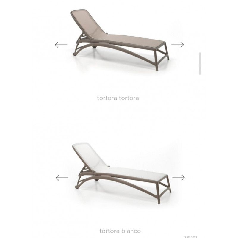 copy of TUMBONA ALFA BLANCO/TORTORA