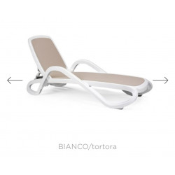 copy of TUMBONA ALFA BLANCO/TORTORA