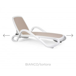 copy of TUMBONA ALFA BLANCO/TORTORA