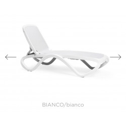 copy of TUMBONA ALFA BLANCO/TORTORA