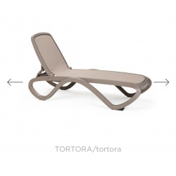 copy of TUMBONA ALFA BLANCO/TORTORA