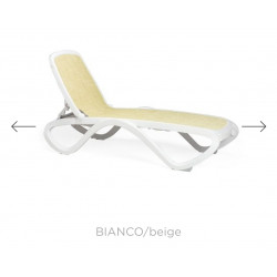 copy of TUMBONA ALFA BLANCO/TORTORA